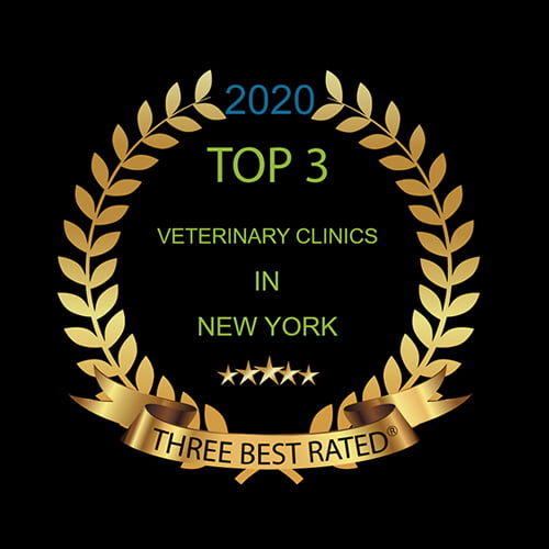 Veterinarian in Bensonhurst, NY Bensonhurst Veterinary Care
